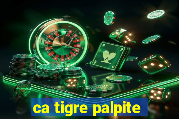 ca tigre palpite